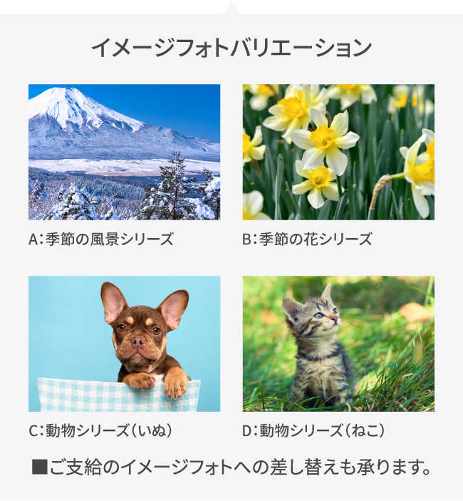 イメージフォトバリーション