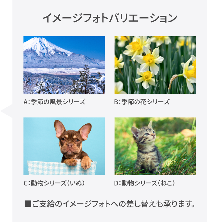イメージフォトバリーション